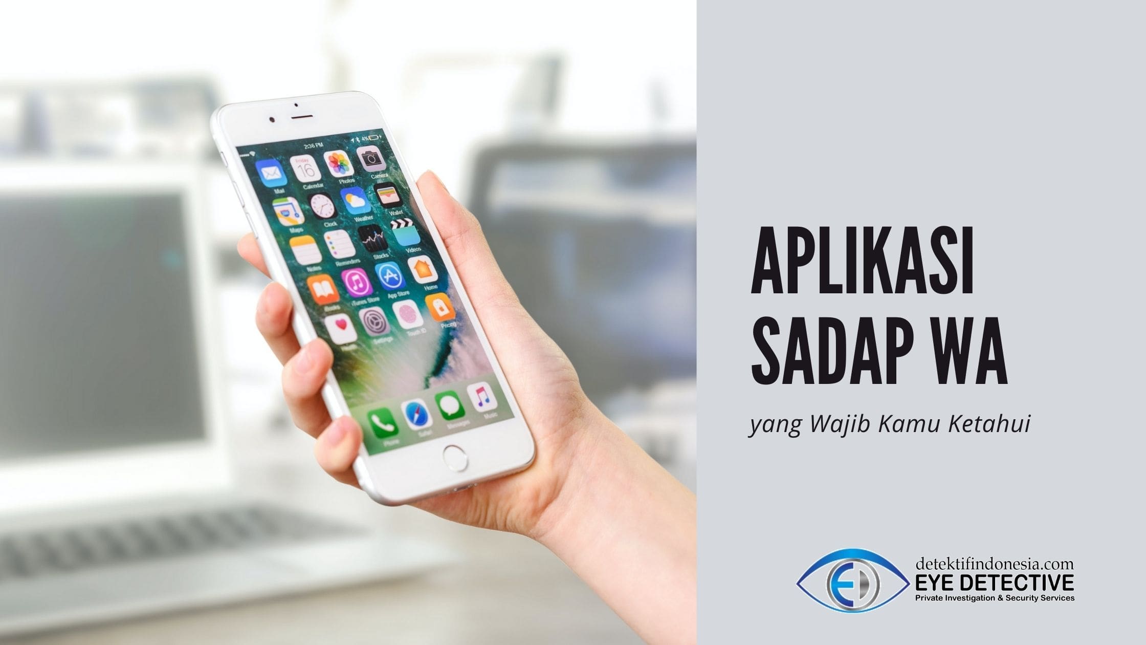 aplikasi sadap wa whatsapp